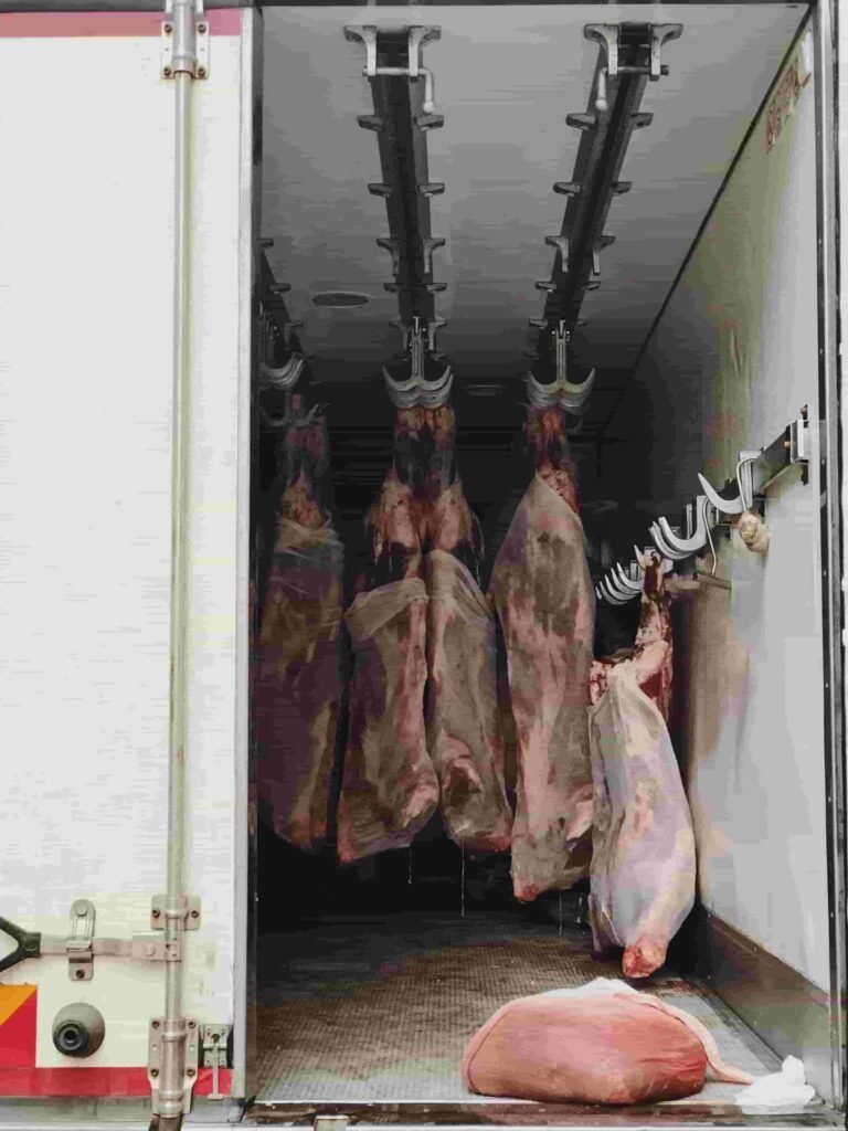 نقل مبرد ومجمد